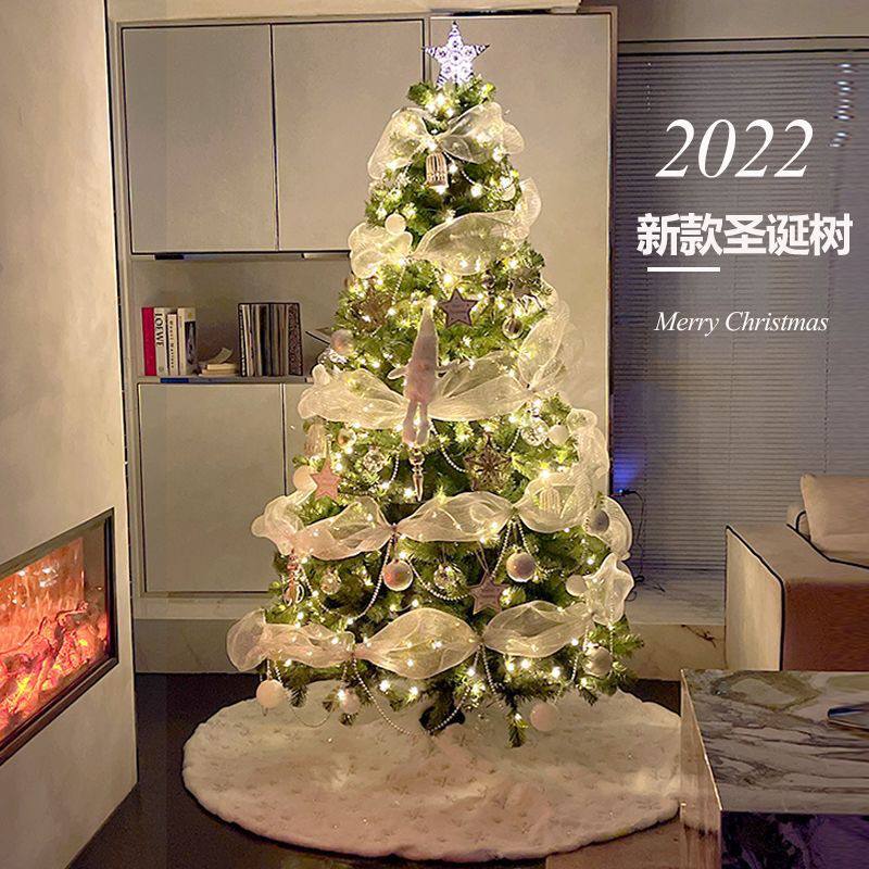 Christmas Tree with Light, Accessories & Tree Skirt 003