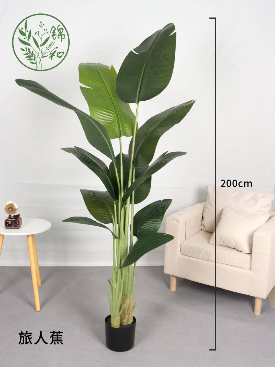 Paradise Plant