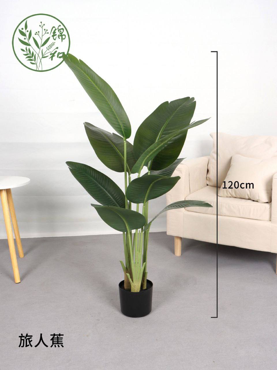 Paradise Plant