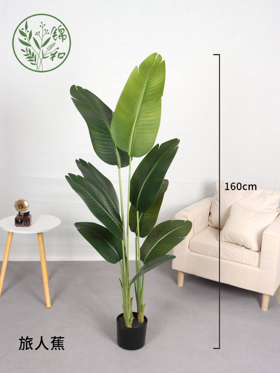 Paradise Plant