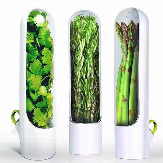 Fresh Keeping Vegetable Box 3pcs