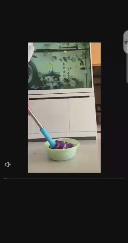 Wringing Mop