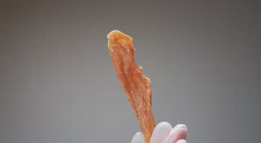Biolomix 5 Layers dehydrator